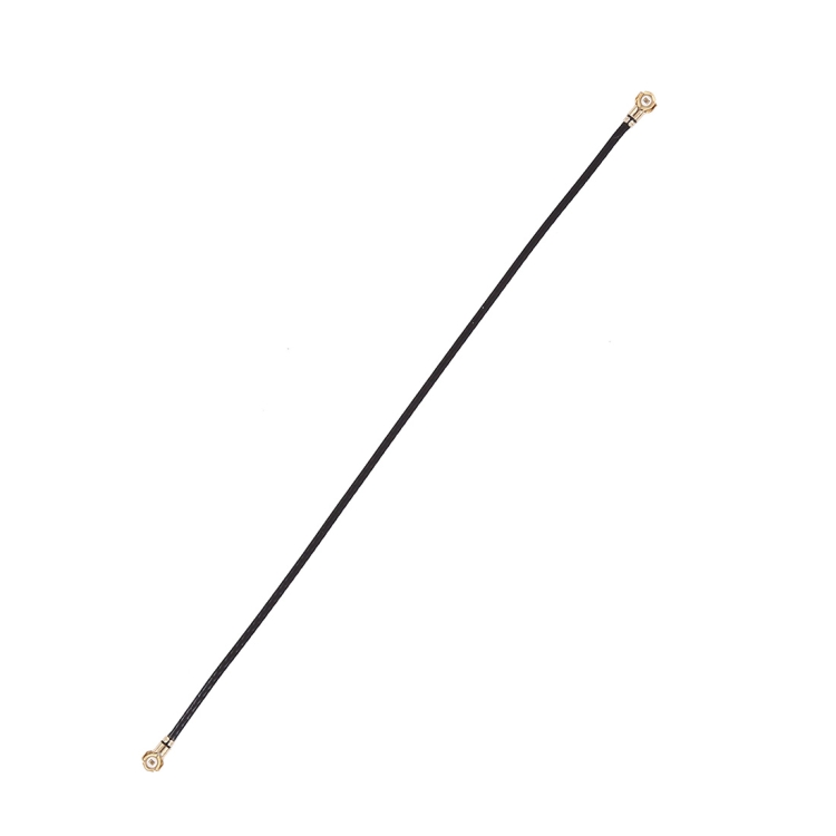 SP8131.jpg