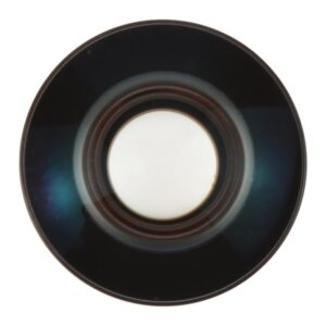 For Insta360 X5 OEM Camera Lens