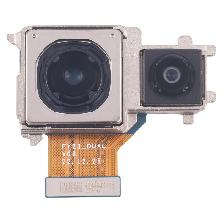 RPS9981.jpg