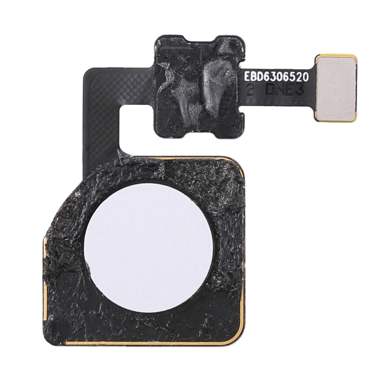 SP5561W.jpg